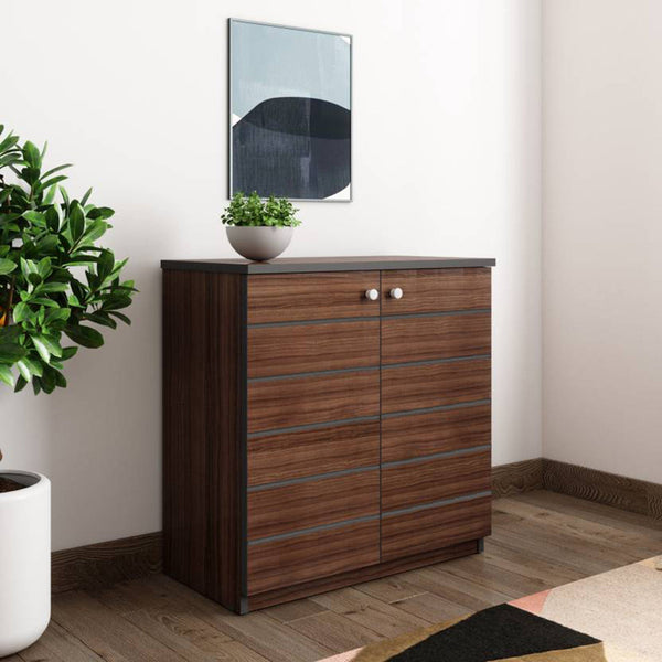 Bharat Lifestyle Pluto Choco Walnut Engineered Wood Shoe Rack  (Brown, 4 Shelves, Knock Down)