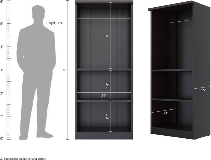 Bharat Lifestyle Amsterdam Engineered Wood 2 Door Wardrobe (Finish Color - Wenge, Knock Down) - BHARAT LIFESPACE PRIVATE LIMITED