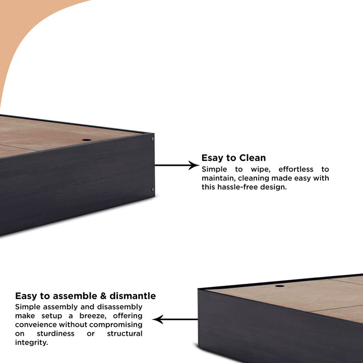 Bharat Lifestyle Clinton Deewan Engineered Wood Queen Bed (Finish Color - Wenge, Delivery Condition - Knock Down) - BHARAT LIFESPACE PRIVATE LIMITED