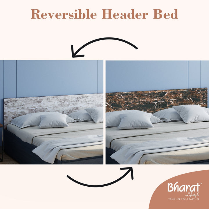 Bharat Lifestyle Cyprus Low height Engineered Wood Queen Bed (Finish Color - Wenge & White, Delivery Condition - Knock Down) - BHARAT LIFESPACE PRIVATE LIMITED