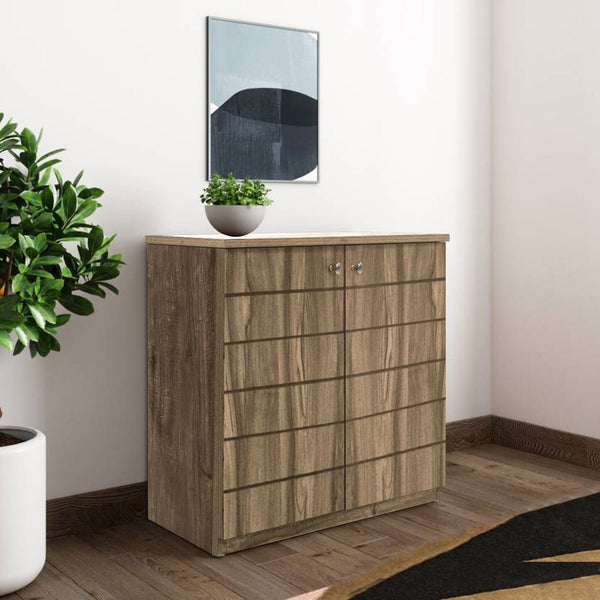 Bharat Lifestyle Pluto Engineered Wood Shoe Rack (Multicolor, 4 Shelves, Knock Down) - BHARAT LIFESPACE PRIVATE LIMITED