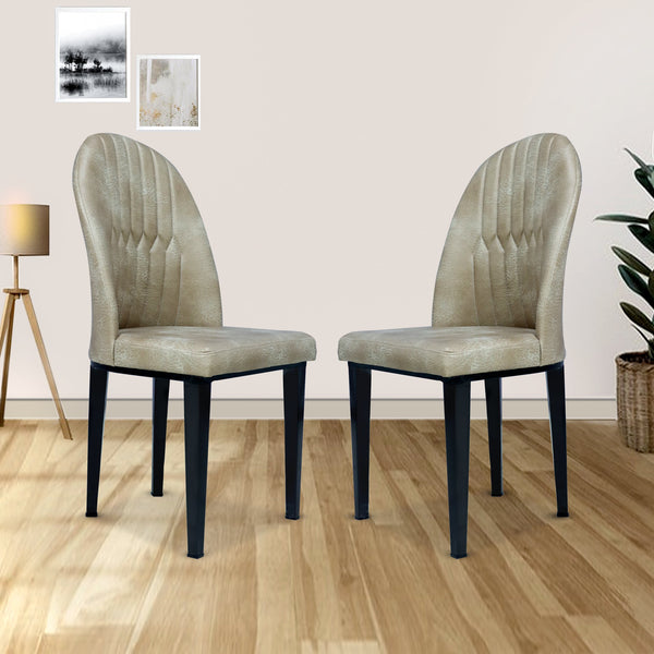 Bharat Lifestyle Metal Dining Chair  (Set of 2, Finish Color - Cream)